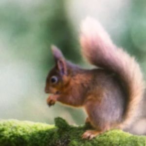 Meet your Posher, Brenna